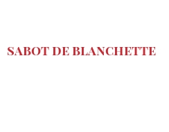 Fromages du monde - Sabot de Blanchette